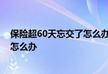 保险超60天忘交了怎么办申请保单复效 保险超60天忘交了怎么办