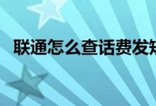 联通怎么查话费发短信（联通怎么查话费）