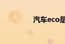  汽车eco是什么意思意思 