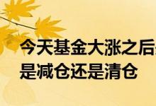 今天基金大涨之后是清仓还是减仓 基金大涨是减仓还是清仓
