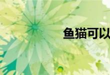 鱼猫可以养吗（鱼猫）