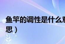 鱼竿的调性是什么意思（鱼竿的调性是什么意思）