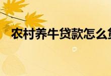 农村养牛贷款怎么贷 农村养牛贷款怎么贷