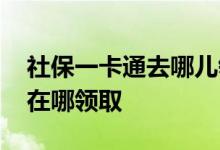社保一卡通去哪儿领取 怎么查询社保一卡通在哪领取