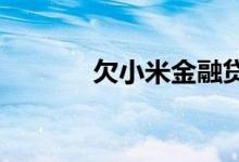 欠小米金融贷款不还会坐牢吗