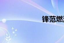  锋范燃油表如何看 