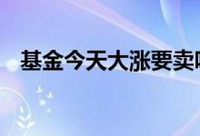 基金今天大涨要卖吗 基金短期大涨要卖吗