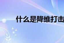 什么是降维打击（什么是降维打击）