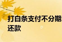 打白条支付不分期怎么还款 打白条支付怎么还款