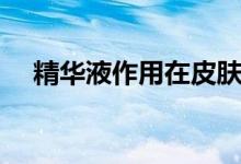 精华液作用在皮肤哪一层（精华液作用）