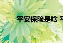 平安保险是啥 平安寿险保的是什么