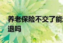 养老保险不交了能退多少 养老保险不交了能退吗