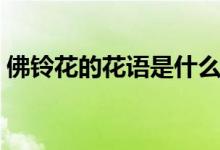 佛铃花的花语是什么（佛铃花的花语是什么）