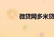 微贷网多米贷（微贷网怎么样）