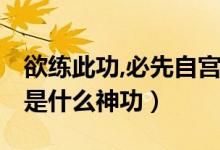 欲练此功,必先自宫!（欲练此功必先自宫指的是什么神功）