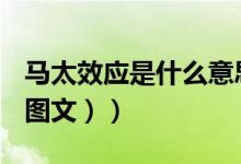 马太效应是什么意思（马太效应是什么意思（图文））