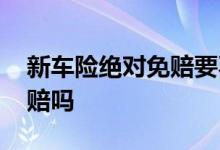 新车险绝对免赔要不要买 车险需要买绝对免赔吗