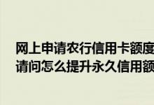 网上申请农行信用卡额度是多少 在网上申请的农行信用卡 请问怎么提升永久信用额度