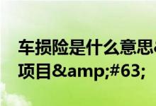 车损险是什么意思&#63;注意赔偿哪些项目&#63;