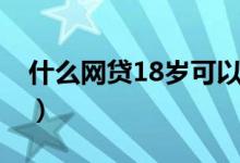 什么网贷18岁可以贷（18岁什么网贷能通过）