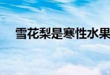 雪花梨是寒性水果吗（雪花梨是什么梨）