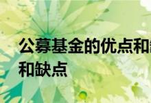 公募基金的优点和缺点 投资公募基金的优点和缺点