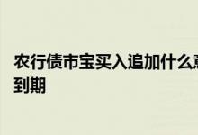 农行债市宝买入追加什么意思 农行债市宝买入追加什么时候到期