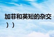 加菲和英短的杂交（异短和加菲的区别（图文））