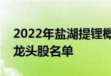 2022年盐湖提锂概念股有哪些盐湖提锂概念龙头股名单