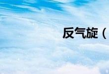 反气旋（反气举原理）