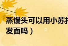 蒸馒头可以用小苏打吗（蒸馒头可以用小苏打发面吗）
