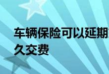 车辆保险可以延期交吗 车辆保险可以延期多久交费