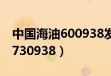 中国海油600938发行价（中国海油申购代码730938）
