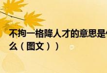 不拘一格降人才的意思是什么（不拘一格降人才的含义是什么（图文））