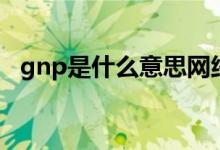 gnp是什么意思网络用语 GNP是什么意思