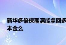 新华多倍保期满能拿回多少钱 新华多倍保20年后可以取回本金么