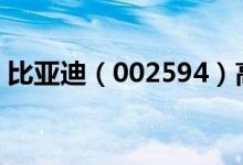 比亚迪（002594）高管及相关人员持股变动