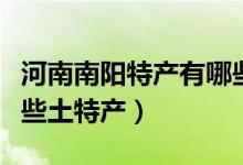 河南南阳特产有哪些吃的（河南南阳特产有哪些土特产）
