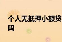 个人无抵押小额贷款 个人能开小额贷款公司吗