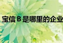宝信Ｂ是哪里的企业（宝信Ｂ属于什么行业）