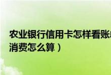农业银行信用卡怎样看账单日（农业银行信用卡账单日当天消费怎么算）