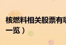 核燃料相关股票有哪些（核燃料概念股票龙头一览）