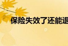 保险失效了还能退吗 保险失效了怎么办