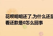 花呗明明还了,为什么还显示有没还的金额 刚用花呗买东西看还款是0怎么回事