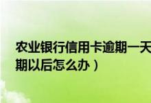 农业银行信用卡逾期一天有没有影响?（农业银行信用卡逾期以后怎么办）