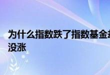 为什么指数跌了指数基金却涨了 指数涨了为什么指数基金却没涨