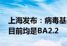 上海发布：病毒基因测序没发现BA.5变异株目前均是BA2.2