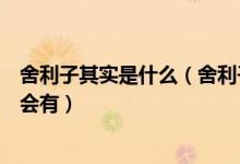 舍利子其实是什么（舍利子是什么舍利子是什么东西为什么会有）