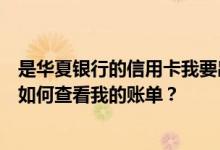 是华夏银行的信用卡我要出差三个月如果我收不到电子邮件如何查看我的账单？