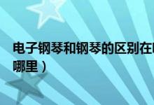 电子钢琴和钢琴的区别在哪里（电子钢琴和钢琴的区别在于哪里）